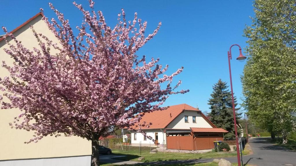 大珀斯纳Ferienwohnung Störmthaler See的房子前有粉红色花的树