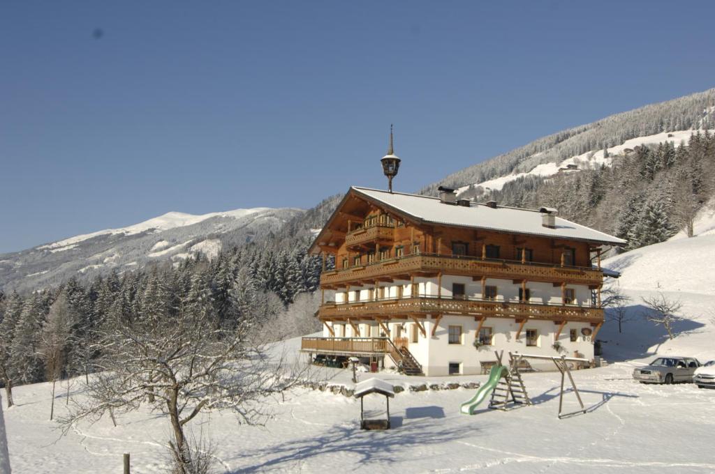 平茨高谷地霍勒尔斯巴赫Peilberghof的一座大木结构建筑,在雪中植有树木