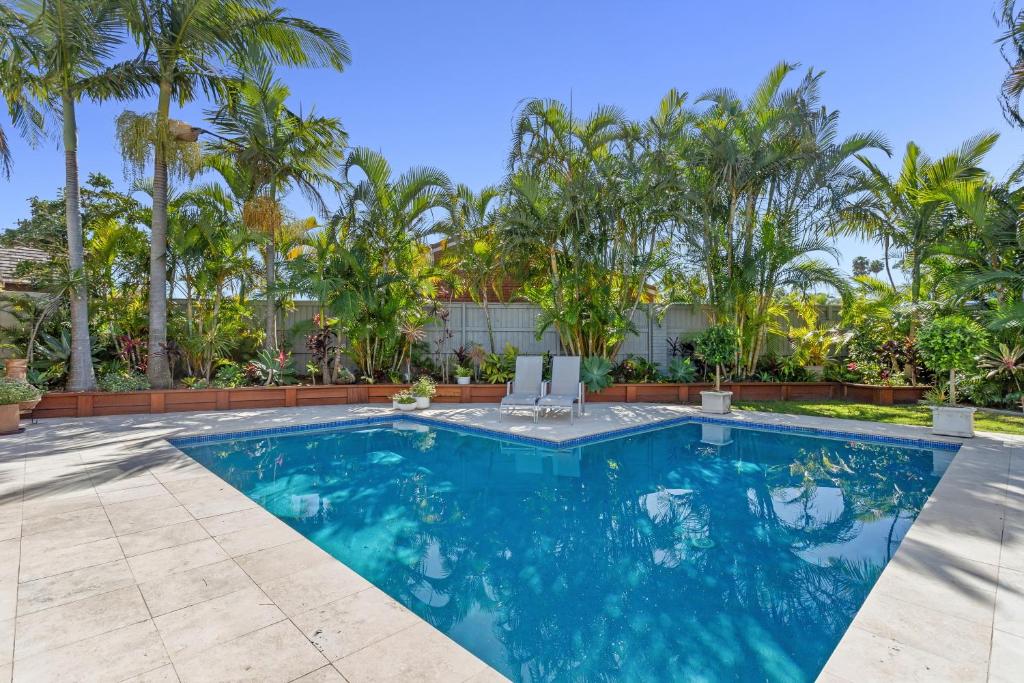 穆卢拉巴Lillypilly Bed and Breakfast的一座棕榈树环绕的游泳池