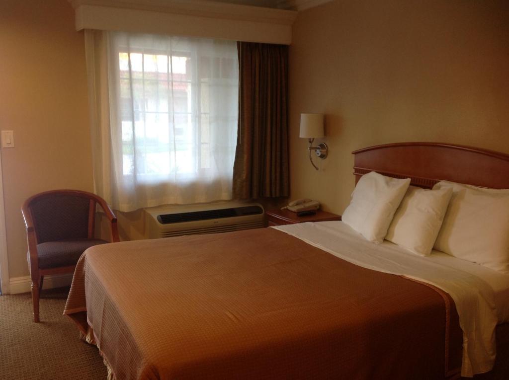 范奈斯凡奈斯海兰德汽车旅馆的酒店的客房 - 带一张床、椅子和窗户