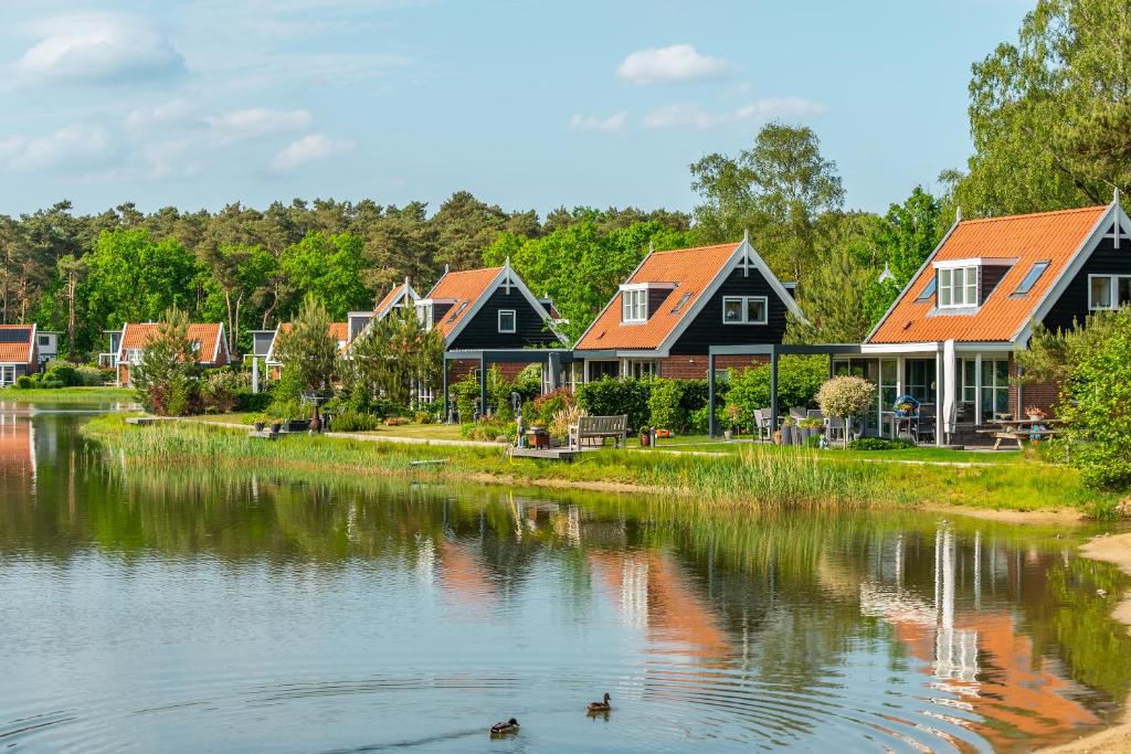 奥特罗EuroParcs De Zanding的湖岸上的一排房子