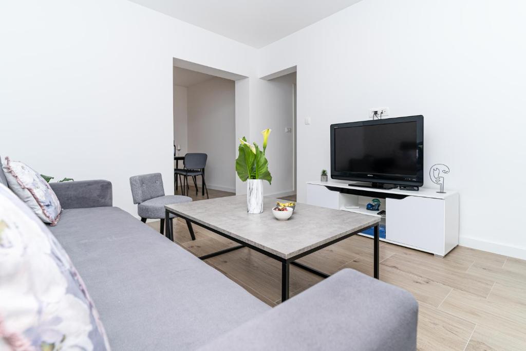 格鲁达Bokarica Apartments的带沙发和电视的客厅