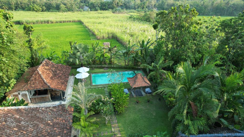 日惹日惹蓝色花园住宿加早餐旅馆的享有带游泳池的度假村的空中景致
