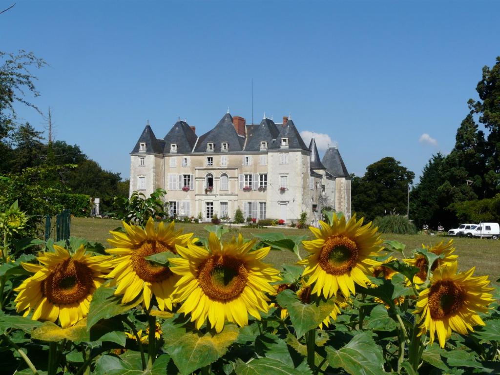DangéChâteau de Piolant的城堡前的向日葵