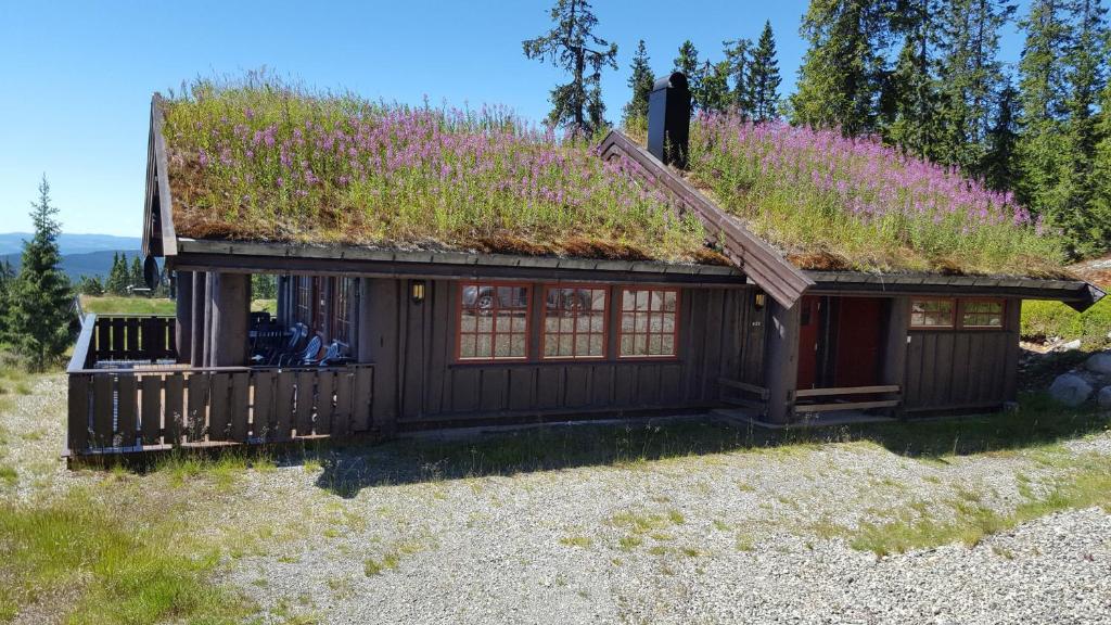 斯朱森Berghstua - Natrudstilen på Sjusjøen的花草屋顶的房子