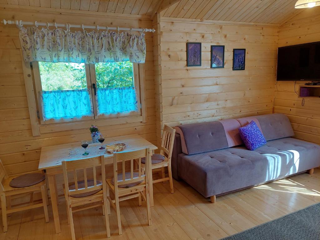 BachowiceDomek Kalilla的客厅配有沙发和桌子