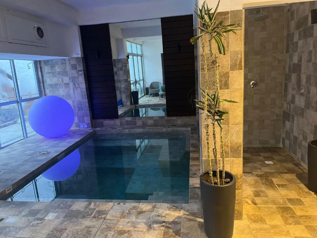 皮里亚波利斯卢汉酒店的一座种植了盆栽植物的房子里的游泳池