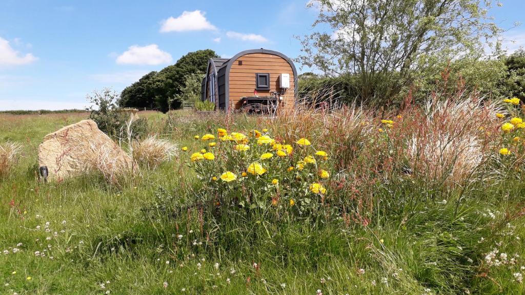 朗塞斯顿Rowan - Luxury Pod at Trewithen Farm Glamping的一座小木舱,位于种有黄色花卉的田野中
