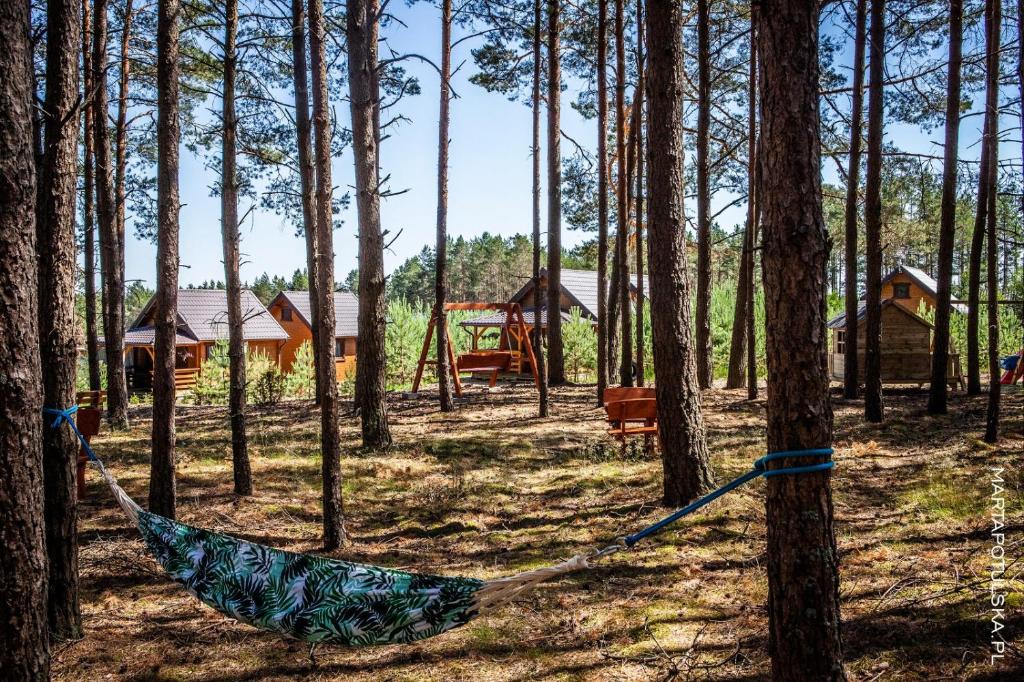斯沃尔纳加西耶Domki Letniskowe Swornegacie - grill klimatyzacja WiFi monitoring的森林中央的吊床