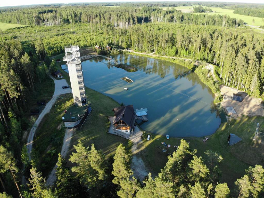 PuskaruMetsjärve kämping的湖景别墅的空中景致