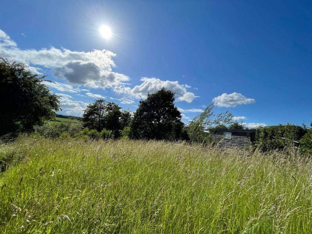 ChetwyndWellbank Shepherds Hut的天空中阳光灿烂的高大的草场