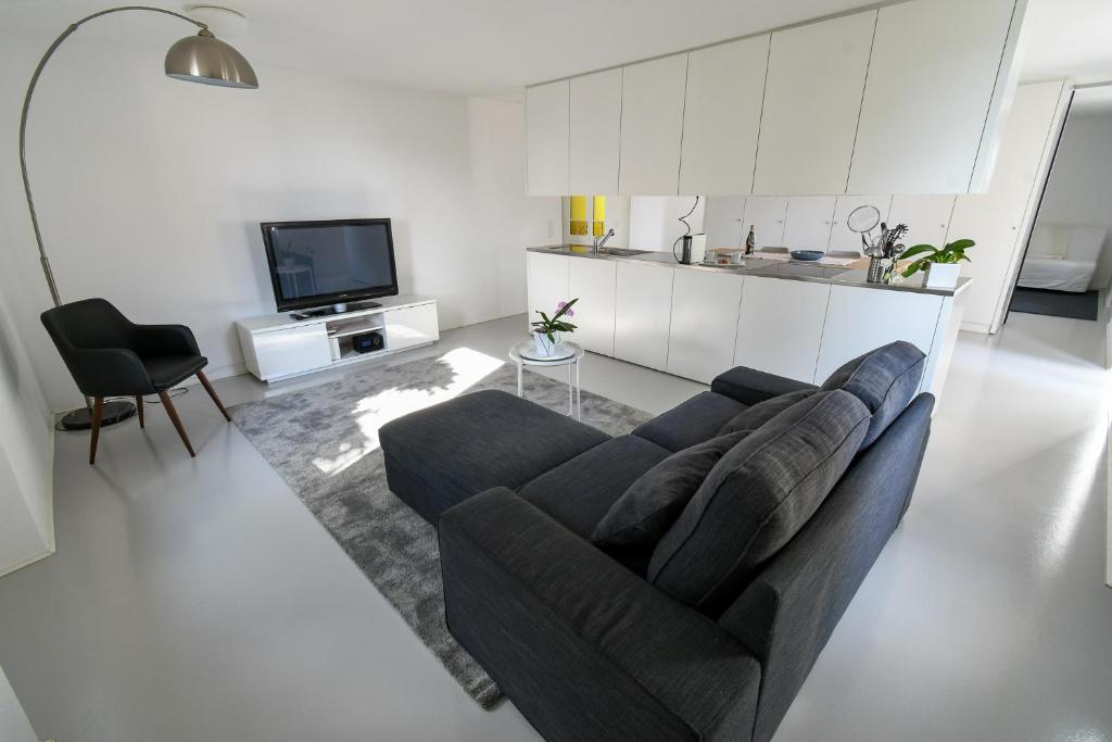 泰内罗Splendido appartamento a due passi da Locarno的带沙发和电视的客厅