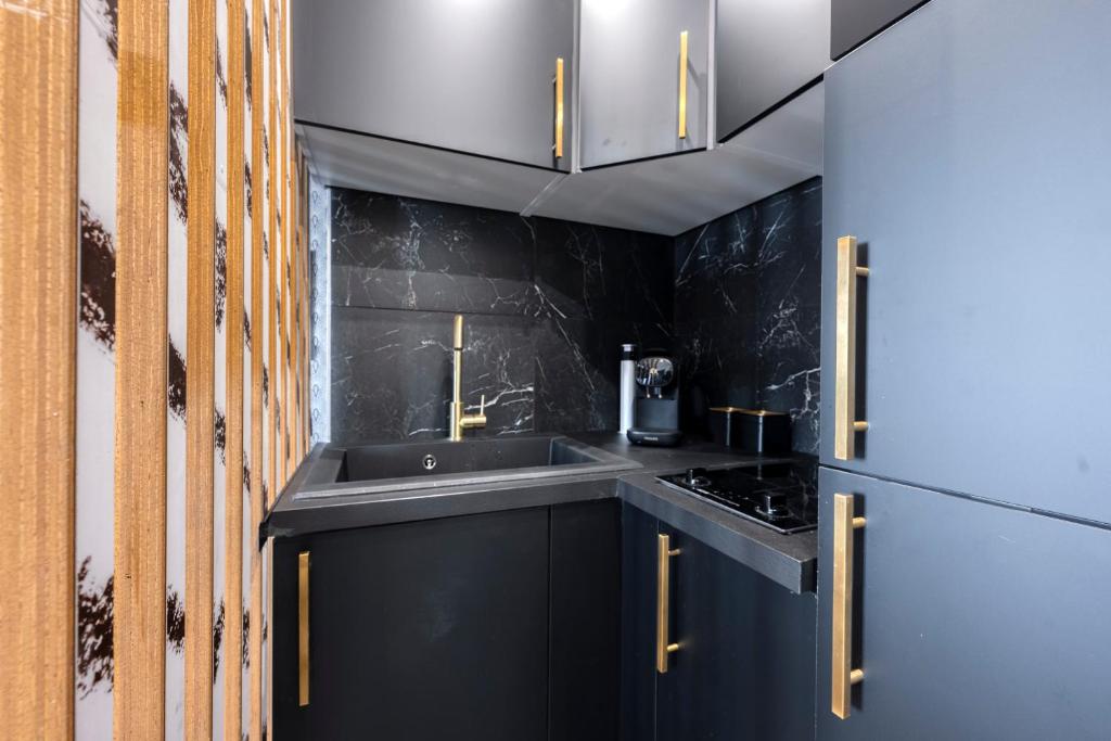利夫里-加尔冈Studio的一间黑色厨房,配有水槽和炉灶