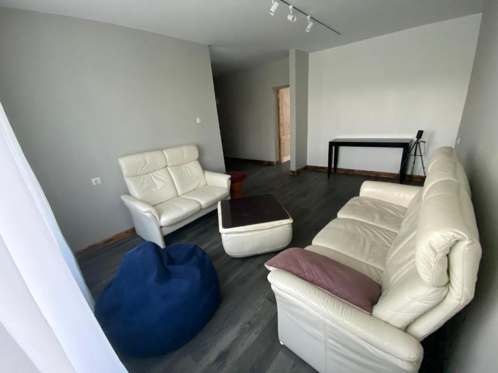 LipuškiAVapartment的客厅配有两把白色椅子和一张沙发