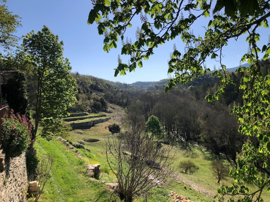 赛尼翁Logement calme avec vue sur le Luberon的享有树木和河流的景色