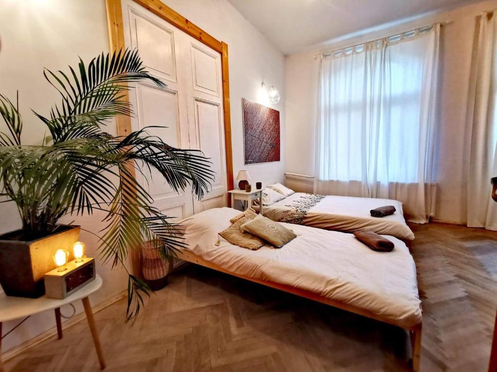 奥尔什丁Smart Hostel Olsztyn的一间卧室设有两张床和盆栽植物