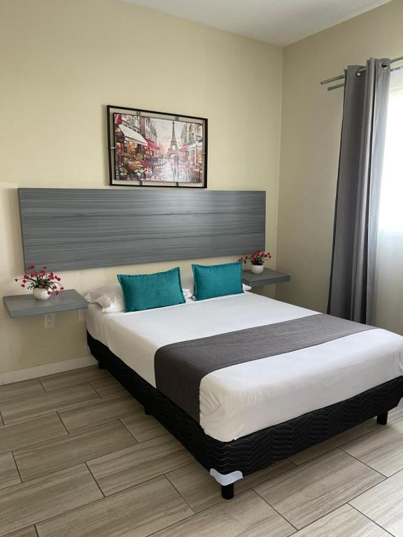 瓜达拉哈拉Constanza Loft的一间卧室配有一张带蓝色枕头的大床
