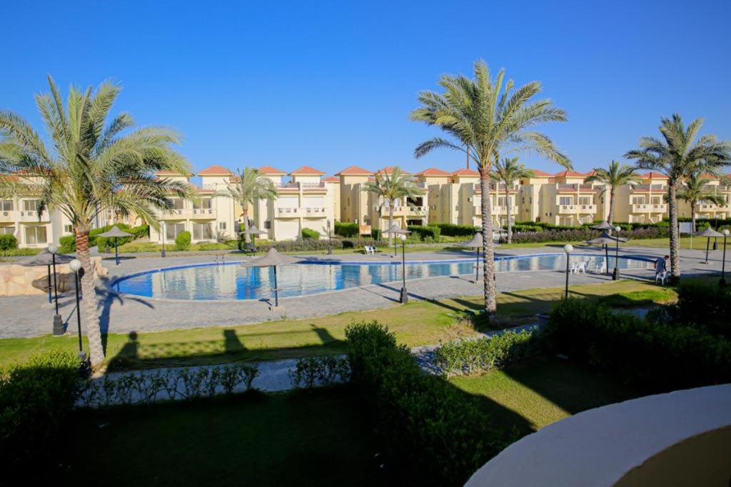 阿莱曼Stella Heights villa - next to Marassi - North coast的一座带游泳池、棕榈树和建筑的度假村