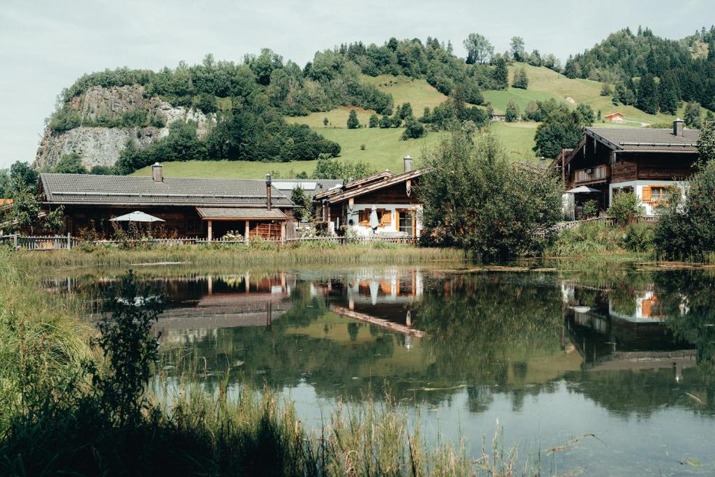 布格贝格Alpzitt-Chalets的湖畔小山上的房屋