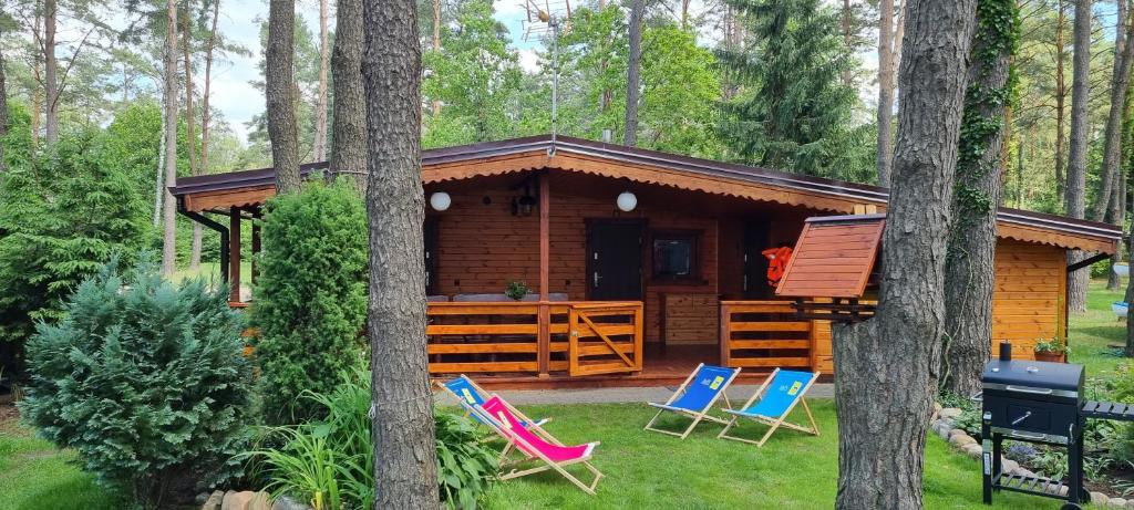 奥斯特罗达Domek nad jeziorem - Mazur House的树林中的小屋,配有椅子和烧烤架
