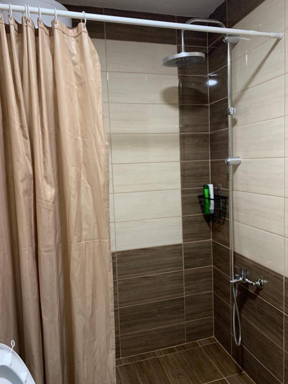 VusanjeRiverside Guesthouse的浴室内配有淋浴帘。