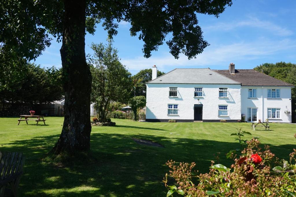 霍尔斯沃西Leworthy Farmhouse Bed and Breakfast的院子里有树的白色房子