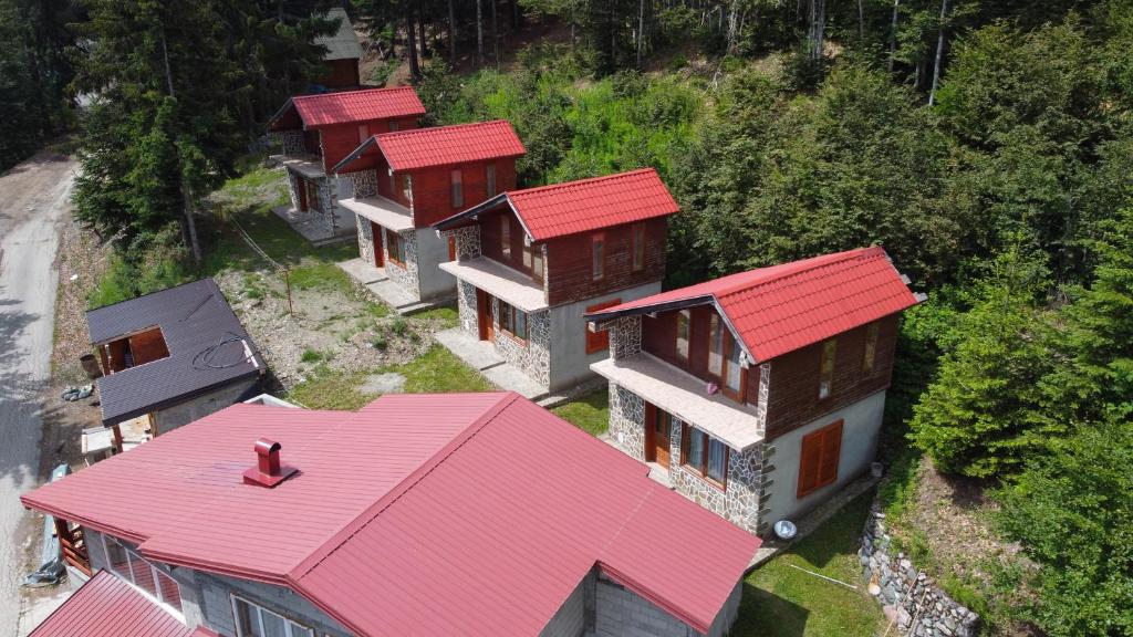 AndrijevicaKomovi Eko katun的红色屋顶房屋的顶部景观