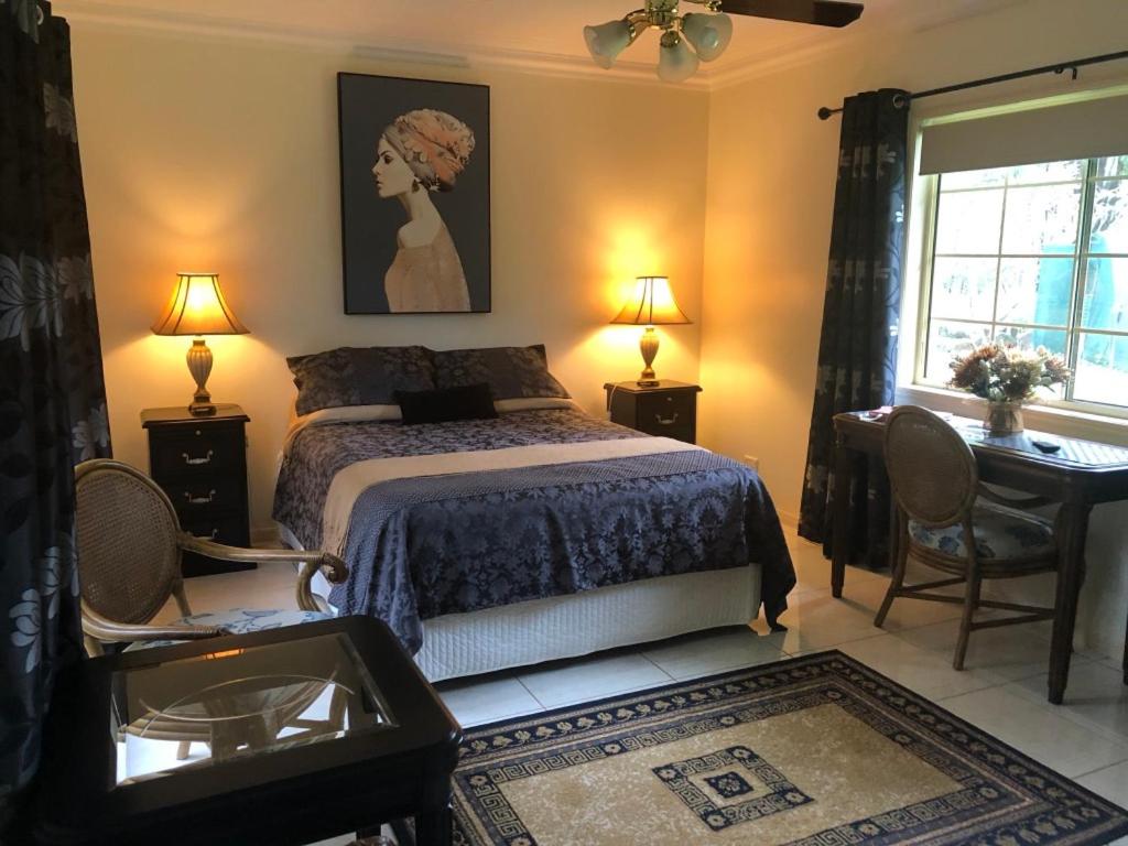 Apple Tree CreekMontrose的一间卧室配有一张床、一张书桌和一个窗户。
