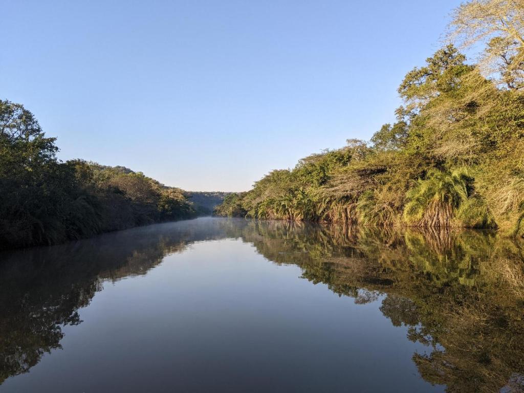 SimunyeMbuluzi Game Reserve的一条有树的河