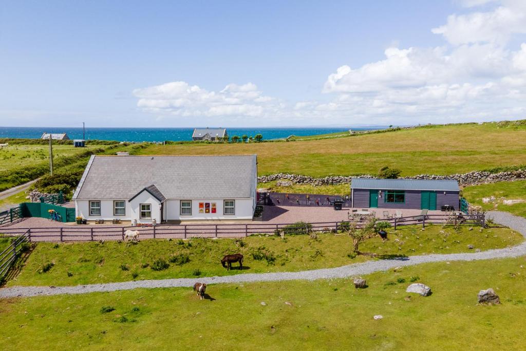 MurrooghInto The Burren的一座山丘上的房屋,背景是大海