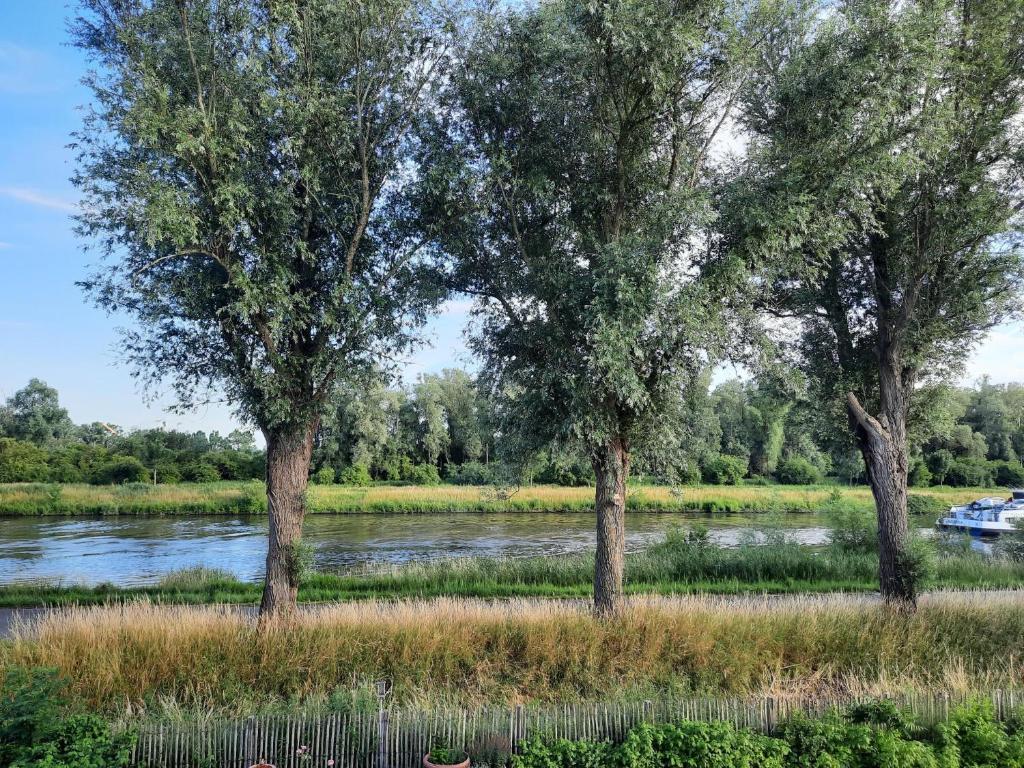 奥德纳尔德舒尔迪坎特住宿加早餐旅馆的河边田野上的三棵树