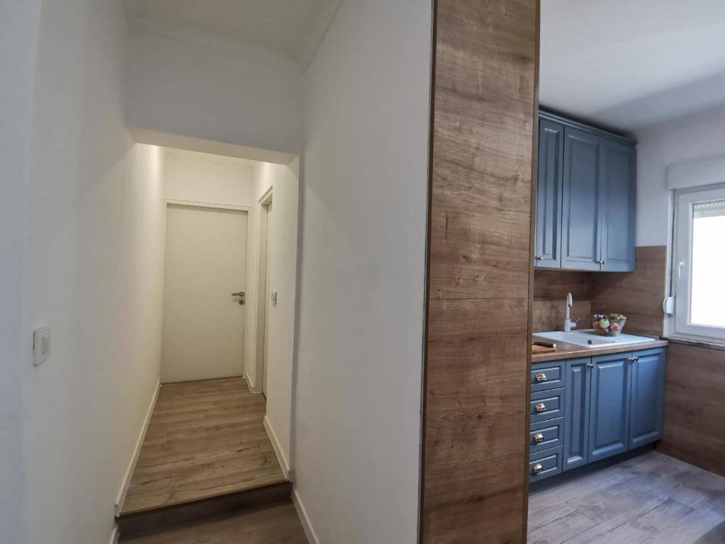 Apartments MilaRoza的厨房或小厨房