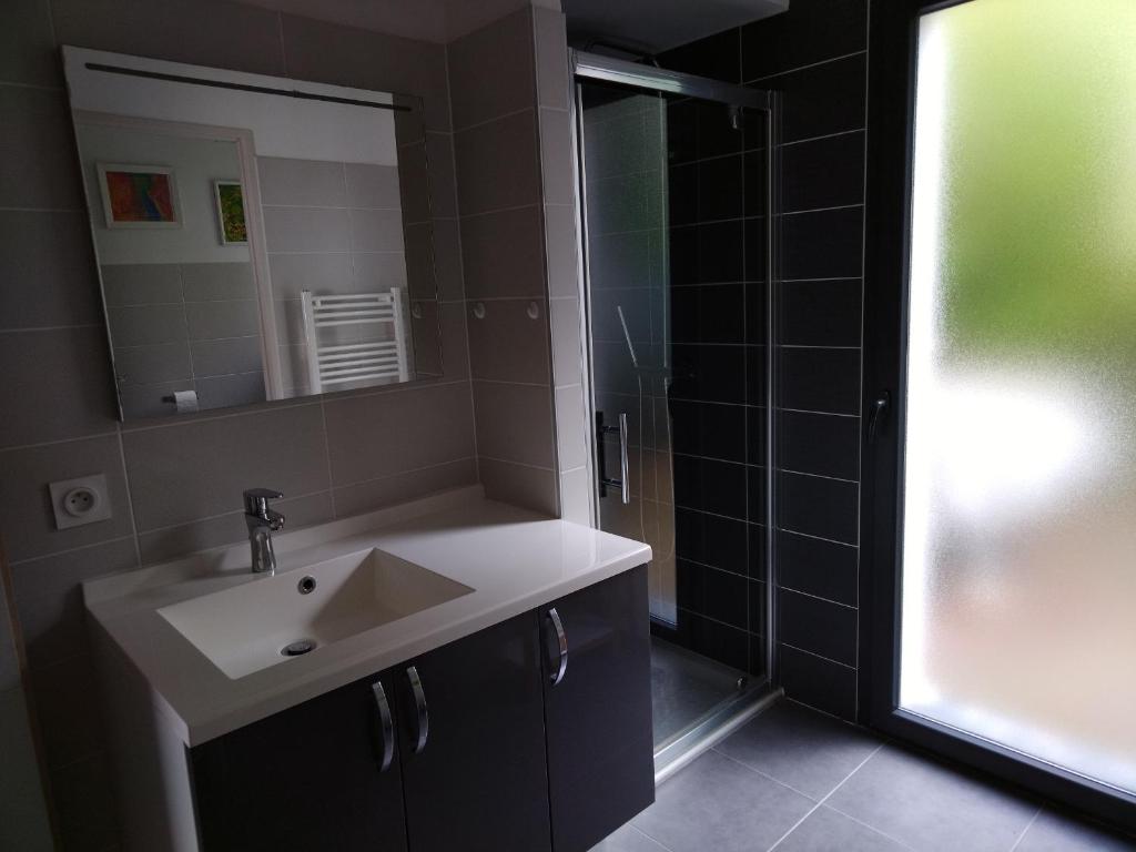 安格雷ANGLET petite Maison à 2 kms des plages et de Biarritz的一间带水槽、镜子和淋浴的浴室