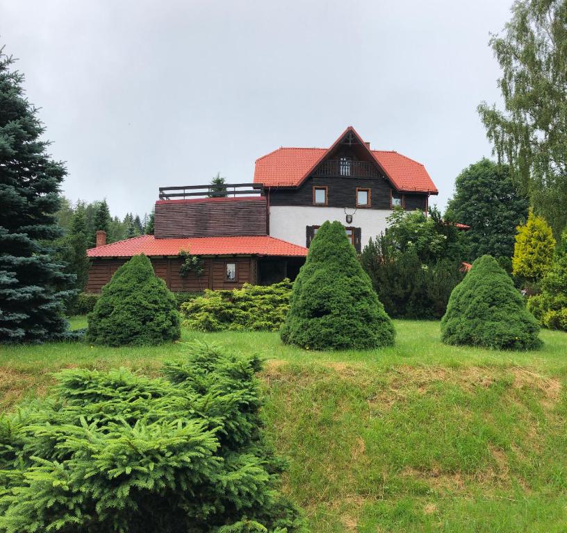 斯克拉斯卡波伦巴Złoty Kłos的前面有一棵树的房子