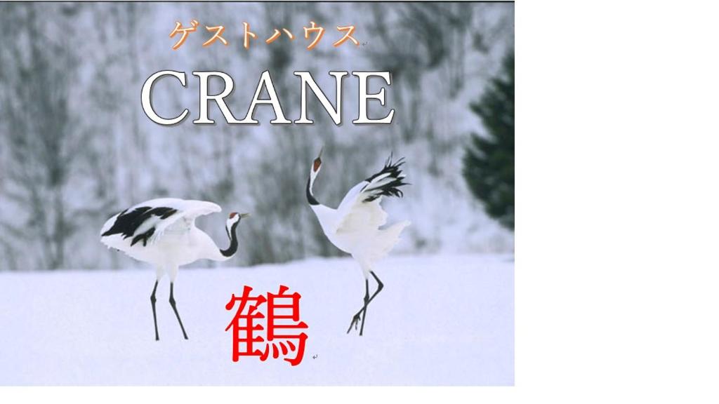 钏路Crane的两只鸟站在雪地里,用起重机