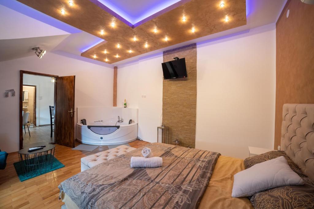 波扎雷瓦茨Delux Apartmani Požarevac的一间带浴缸的卧室和一张带灯的床