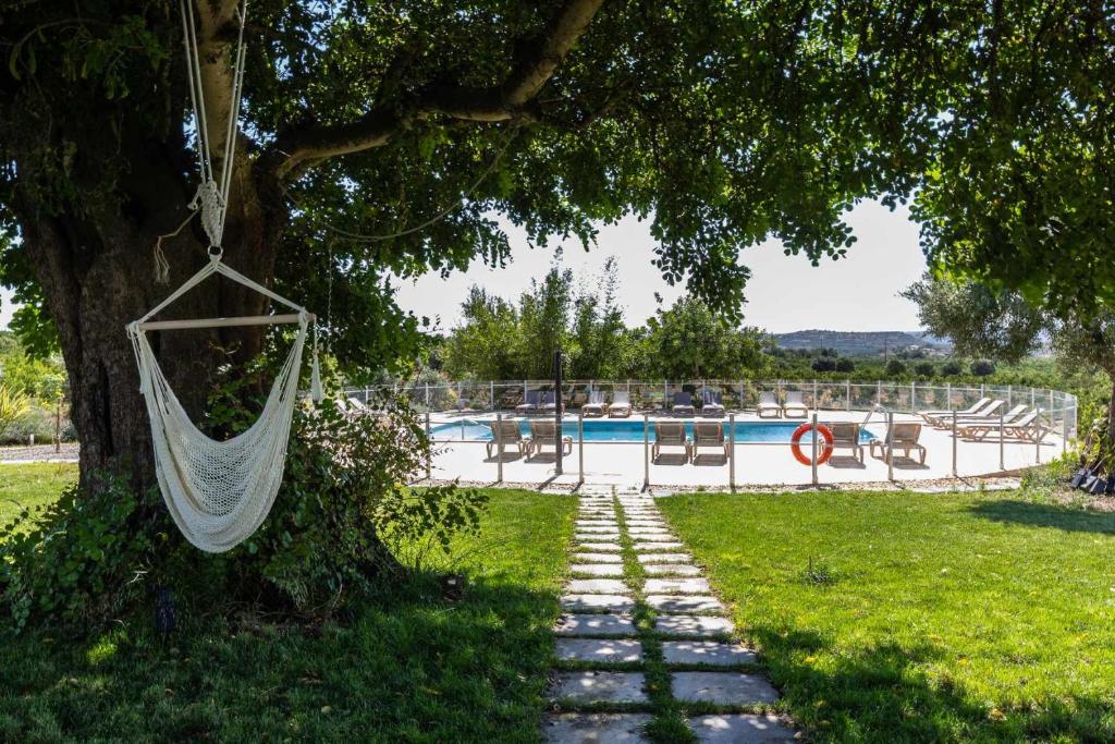 塔维拉Quinta da Capelinha Agroturismo的悬在泳池旁树上的吊床