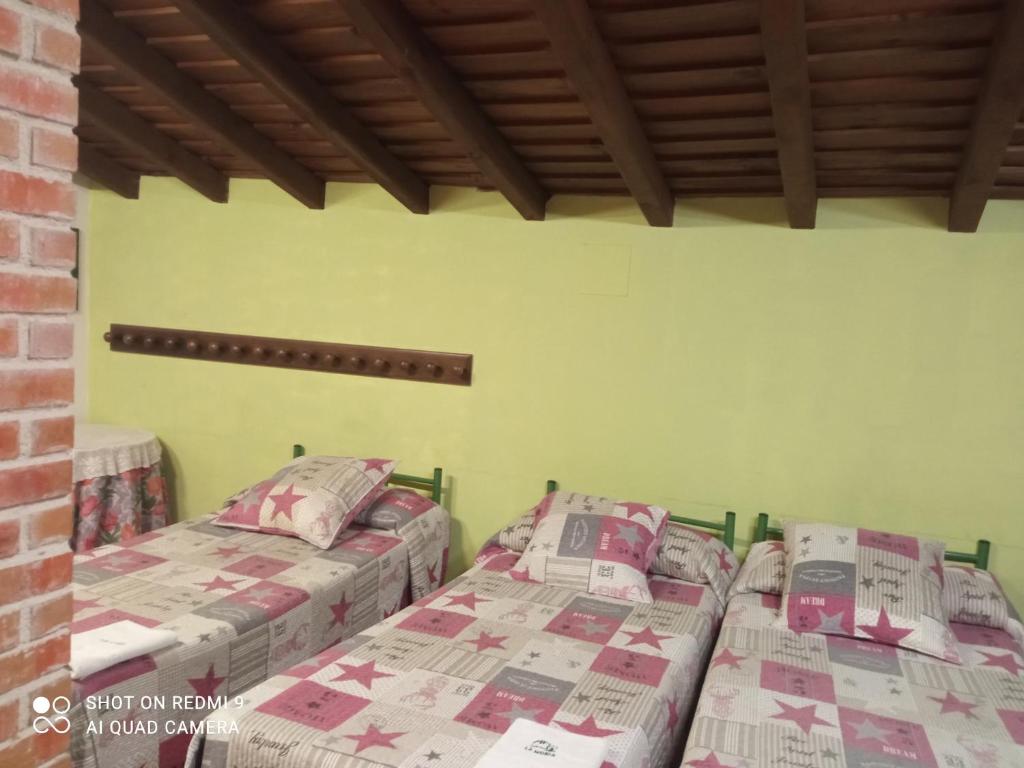 罗德里戈城El Abejal的绿墙客房内的两张床