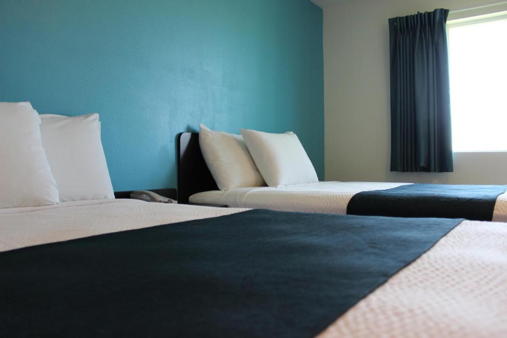 雷克斯堡Motel 6 Rexburg, ID的配有两张床铺的蓝色墙壁和窗户