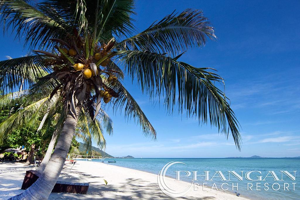 班泰帕岸岛海滩度假酒店的海滩上的棕榈树与大海