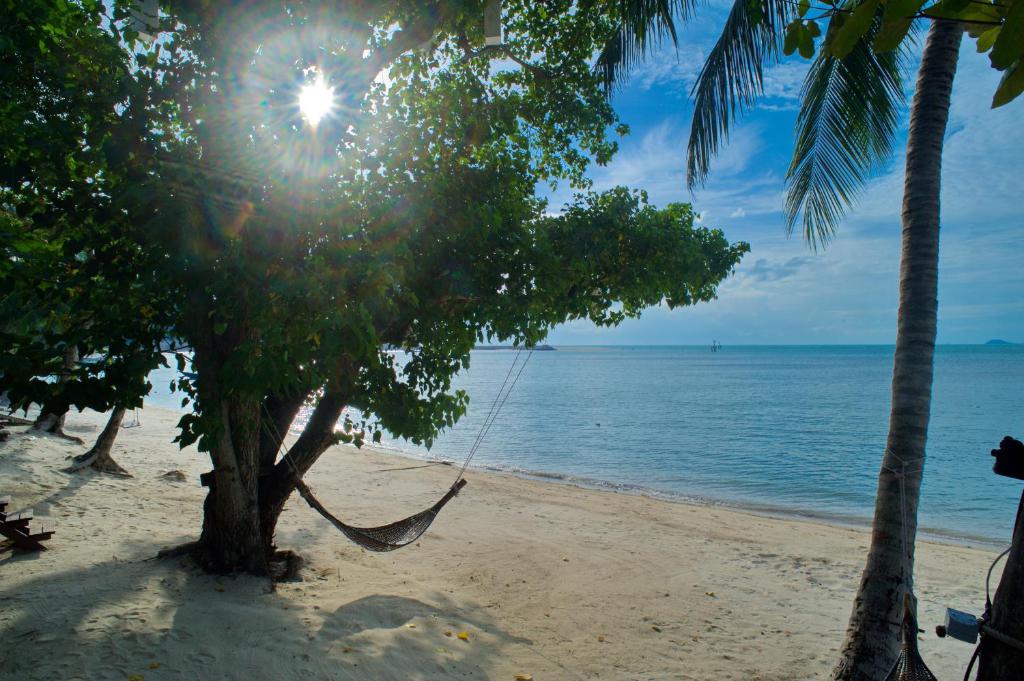 利巴诺伊At Samui Haus的海滩上两棵棕榈树上的吊床