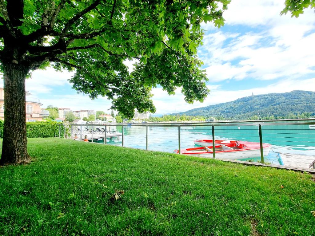 沃尔特湖畔佩莎赫Luxury Holiday am Wörthersee的水体旁草木