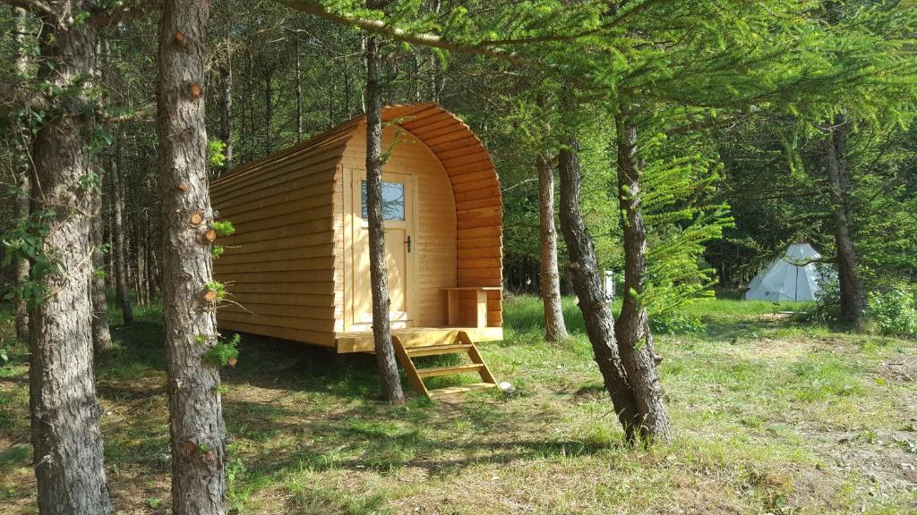 诺尔德霍尔茨Glamping Pod的森林中间的小木屋