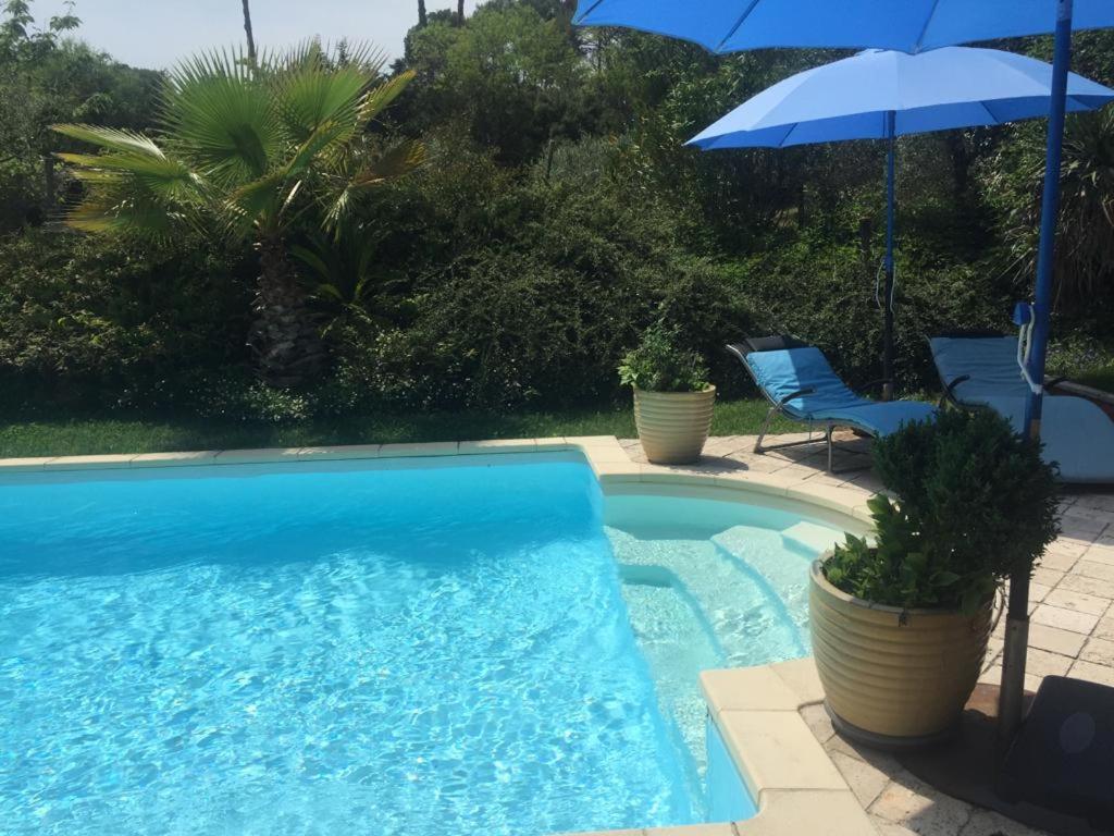 德拉吉尼昂Le Mas du Sud的蓝色游泳池配有遮阳伞和椅子