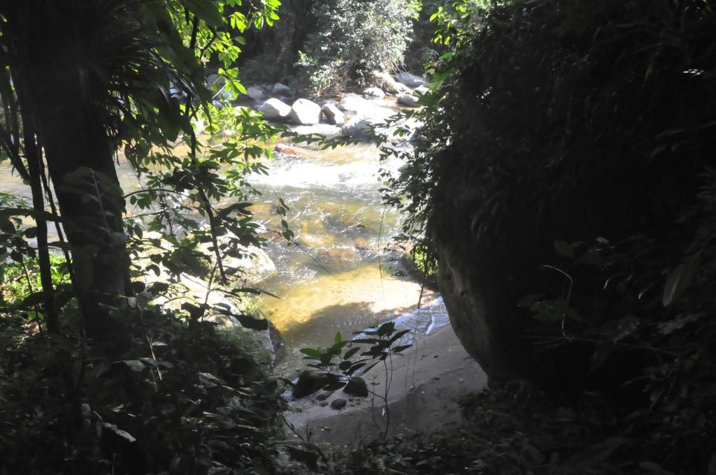 山林小屋周边自然景观