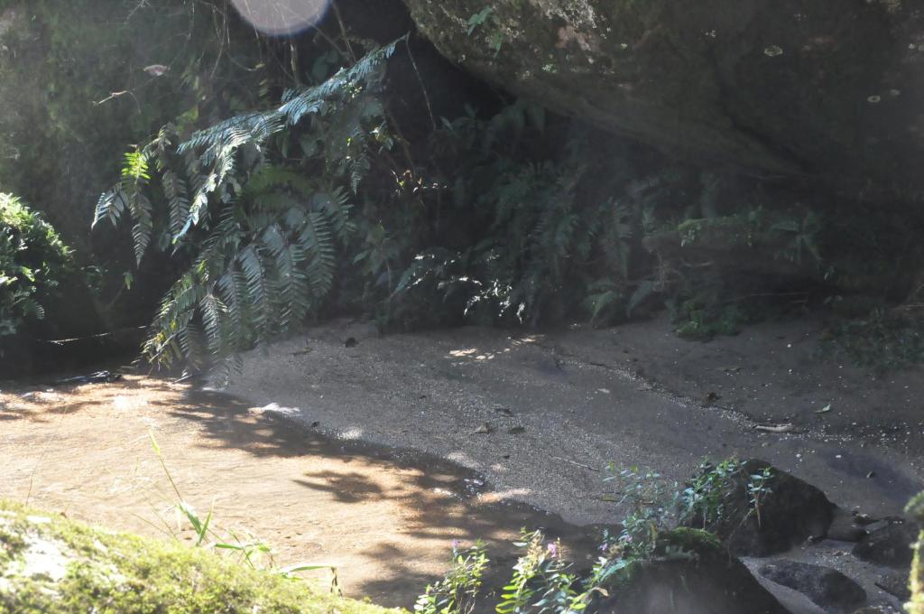 山林小屋周边自然景观
