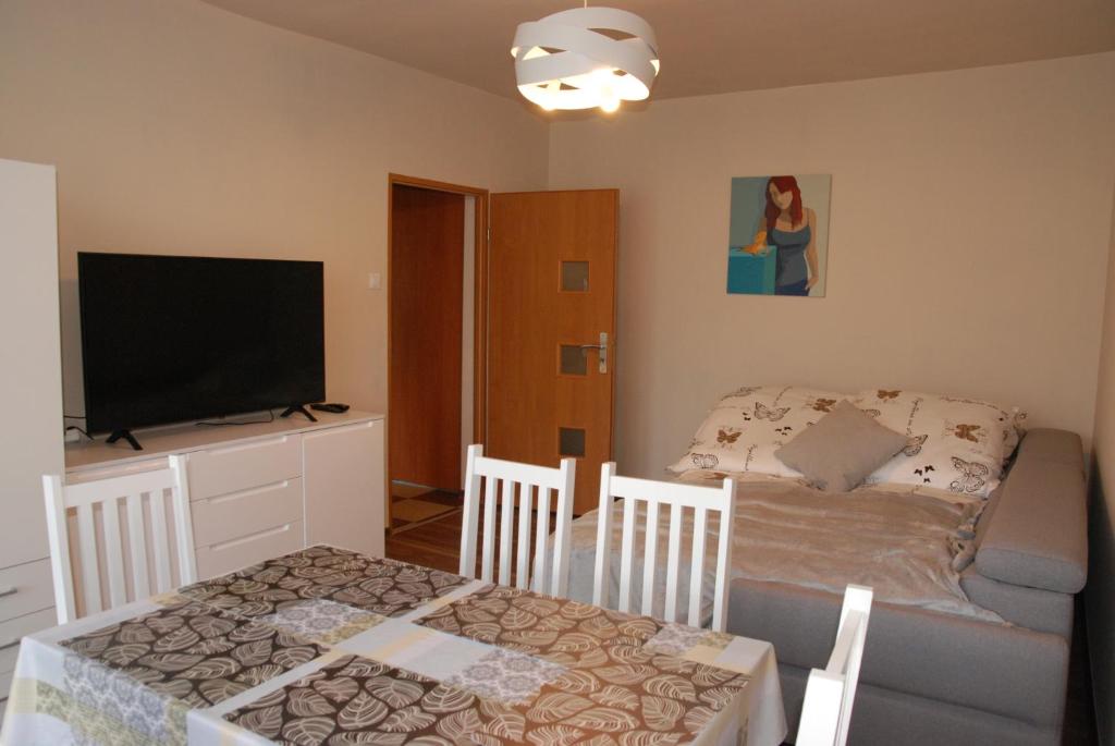 乌斯特龙Apartament Manhatan 4的小房间配有沙发、电视和桌子