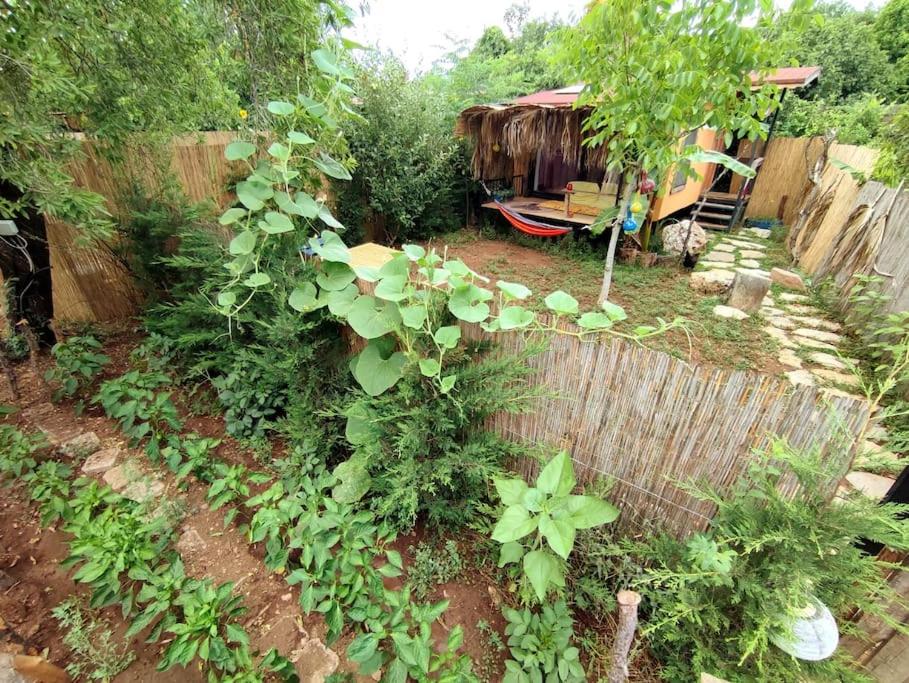 费特希耶Tiny House Ceviz Kayaköy Jungle Camping的花园中种有一堆植物和栅栏