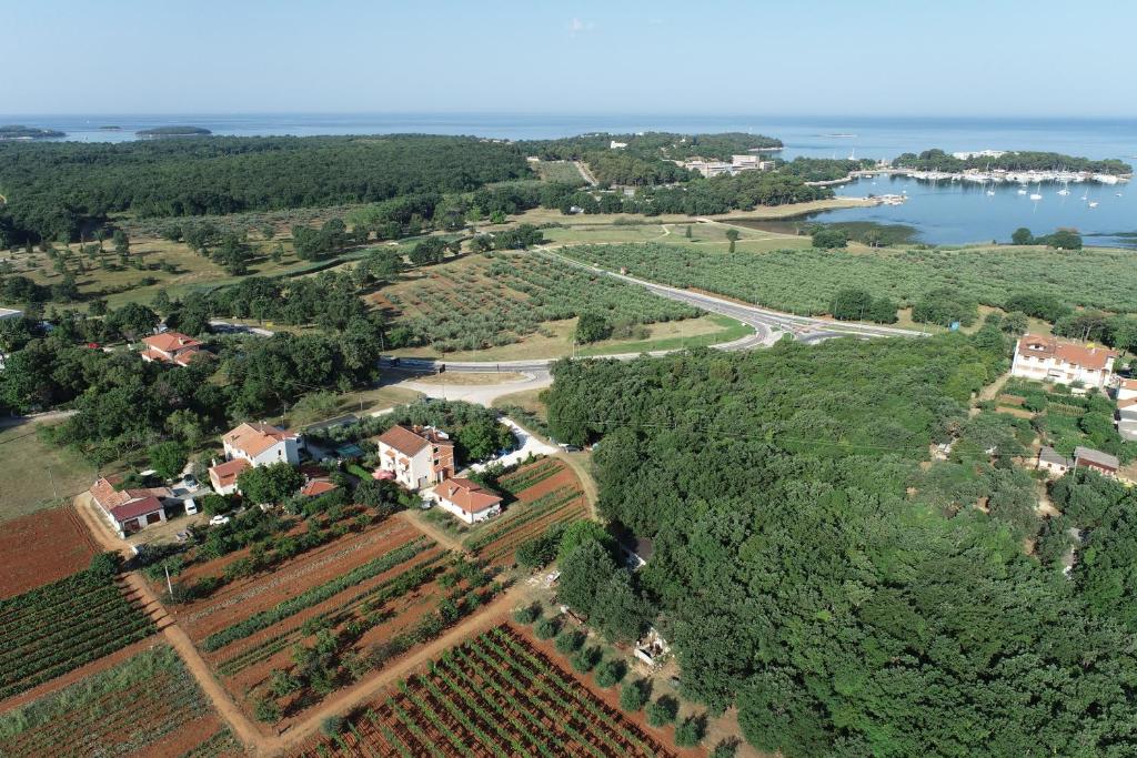 波雷奇Viva Molindrio的享有葡萄园和湖泊的空中景色