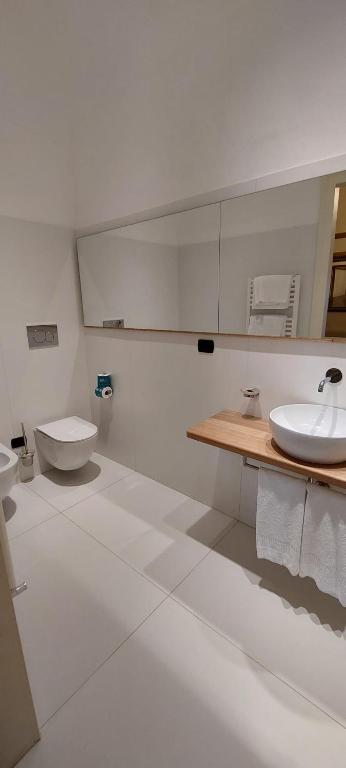 埃尔科拉诺Casa Raiola Ercolano Luxury Rooms &amp; Spa的白色浴室设有2个卫生间和水槽